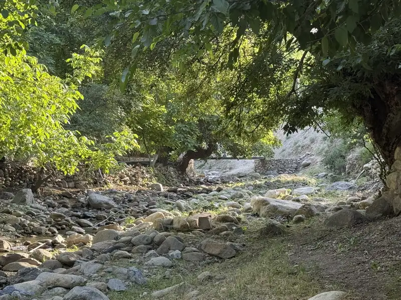 54952BA2-E8EB-451E-AF5C-7FA67575B3AF_1_102_o