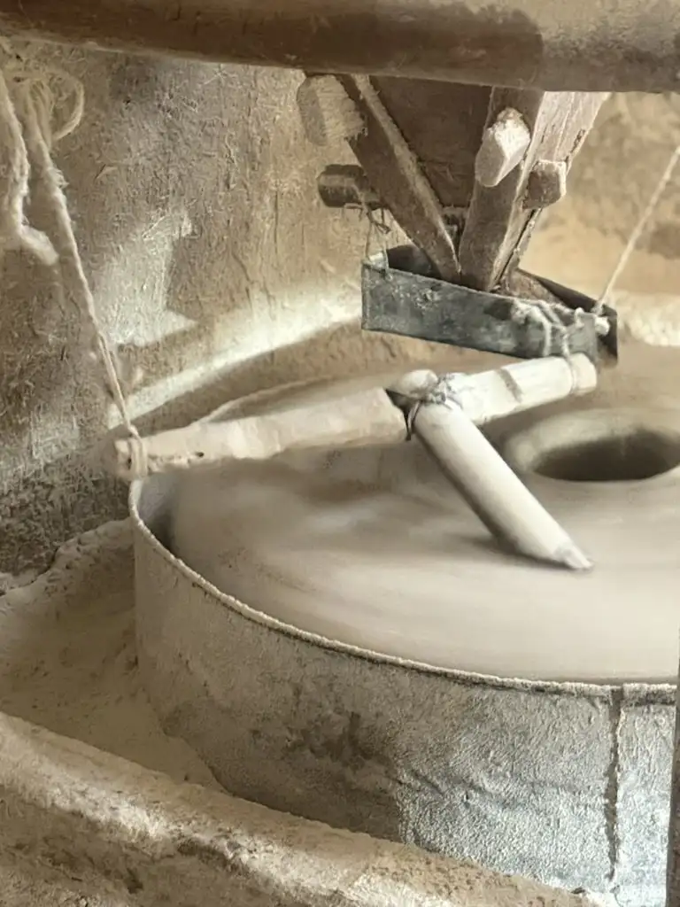 5766147F-040A-4897-97D5-E2C921CEDE3D_1_105_c