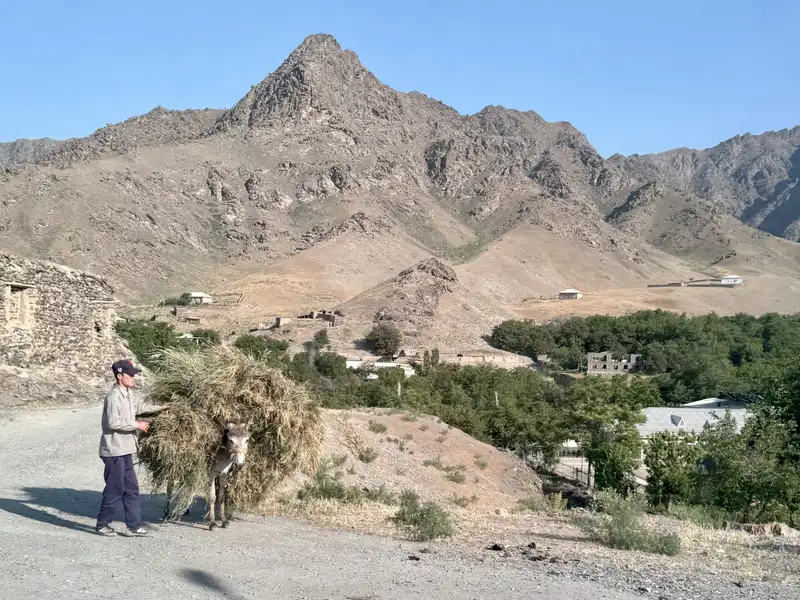 80A87333-E7C5-4319-AC39-4D72EEC11193_1_201_a