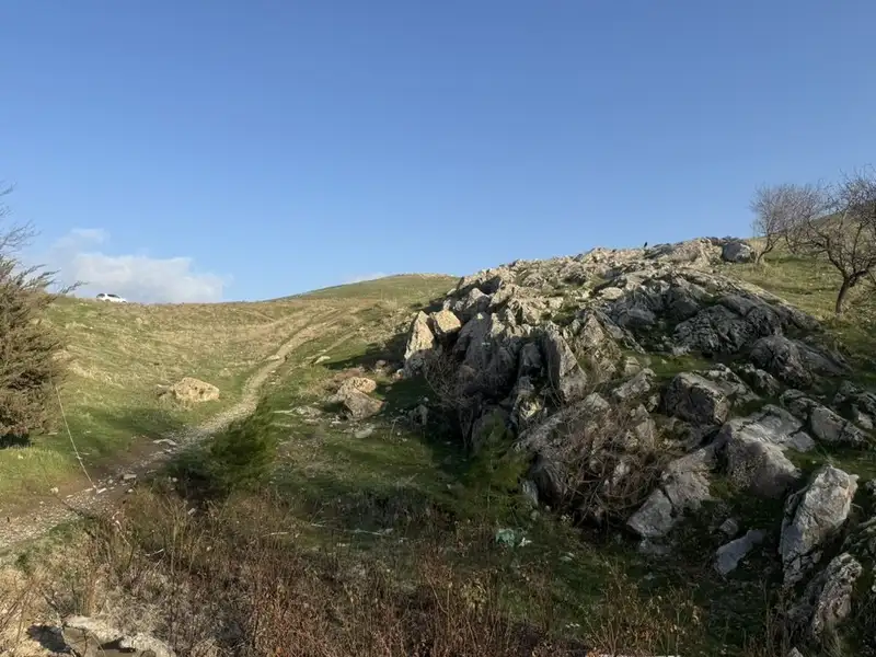 83C4B194-06AF-4F62-92D0-5460DB4A9AD8_1_105_c