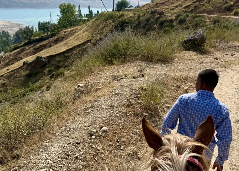 9DA3E952-AEE5-474E-95E1-D7F1DD997B79_1_201_a