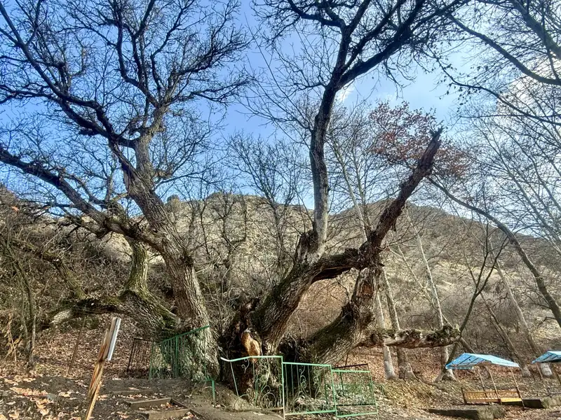 EDA701DC-E59A-4237-B8A5-6FC9CA785FB0_1_201_a