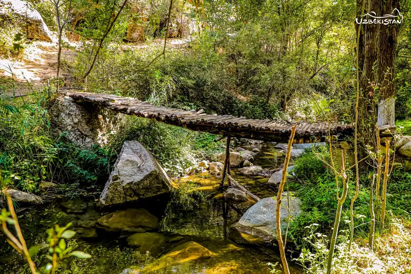 2C67DEA2-AA83-4BCA-AFD9-12FB6CAD6257_1_201_a